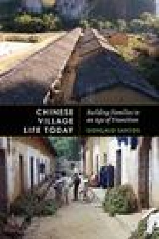 Knjiga Chinese Village Life Today Goncalo Santos