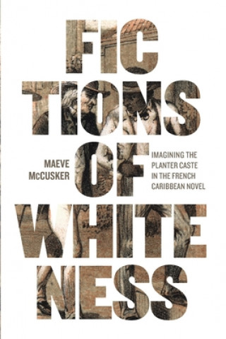 Βιβλίο Fictions of Whiteness Maeve McCusker