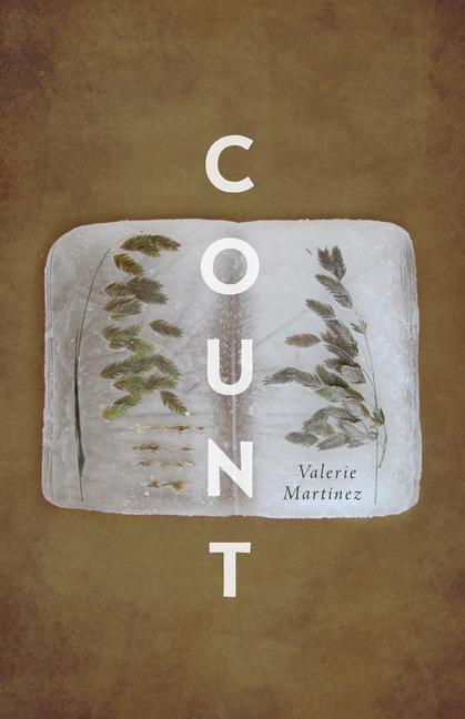 Knjiga Count Valerie Martínez