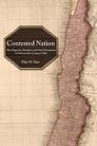 Book Contested Nation Pilar M. Herr