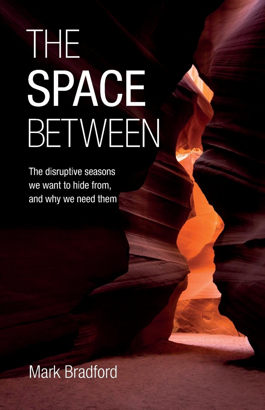 Knjiga Space Between Mark Bradford