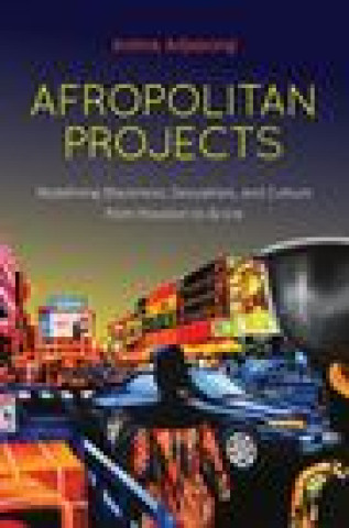 Book Afropolitan Projects Anima Adjepong