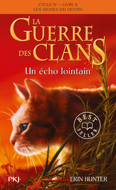 Könyv La Guerre des Clans, Cycle IV - tome 2 Un écho lointain Erin Hunter
