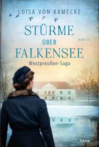 Könyv Stürme über Falkensee 