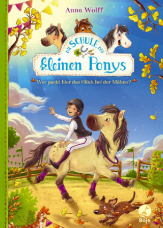 Book Die Schule der kleinen Ponys Nadine Reitz