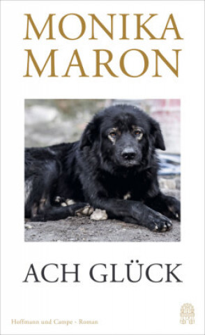 Book Ach Glück Monika Maron