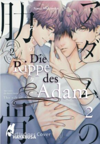 Kniha Die Rippe des Adam 2 Diana Hesse
