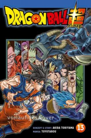 Kniha Dragon Ball Super 13 Toyotarou