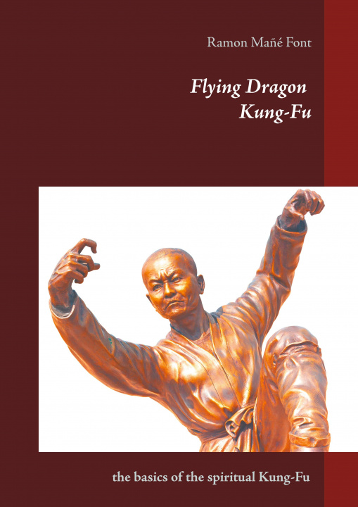 Книга Flying Dragon Kung-Fu 