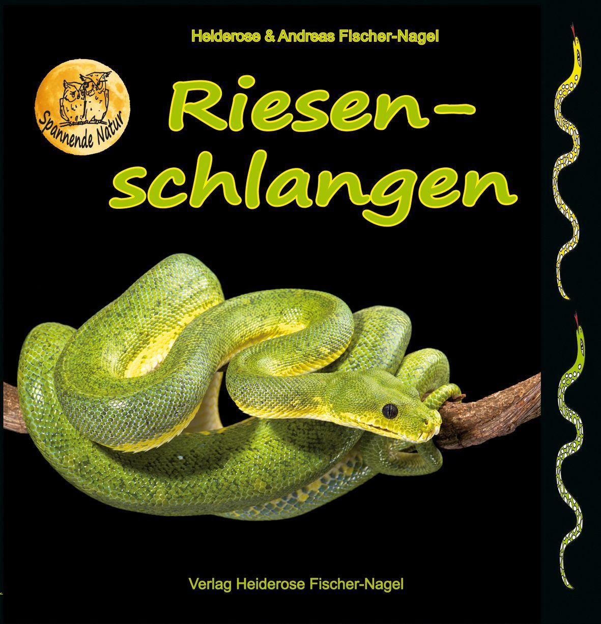 Kniha Riesenschlangen Andreas Fischer-Nagel