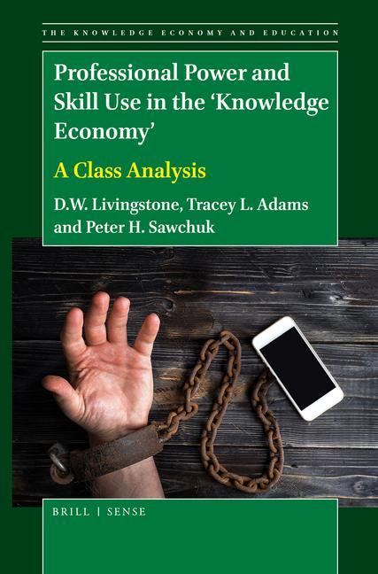 Βιβλίο Professional Power and Skill Use in the 'Knowledge Economy': A Class Analysis Tracey L. Adams