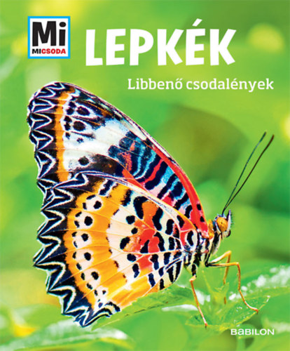 Buch Lepkék - Mi MICSODA Nicole Röndigs
