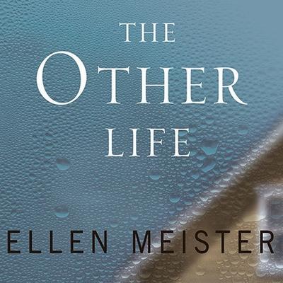 Audio The Other Life Hillary Huber