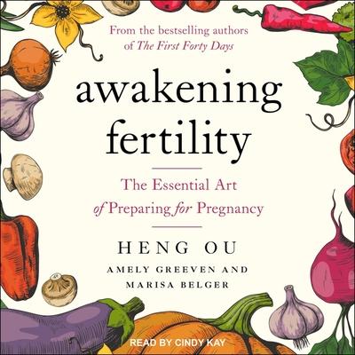 Digital Awakening Fertility: The Essential Art of Preparing for Pregnancy Marisa Belger