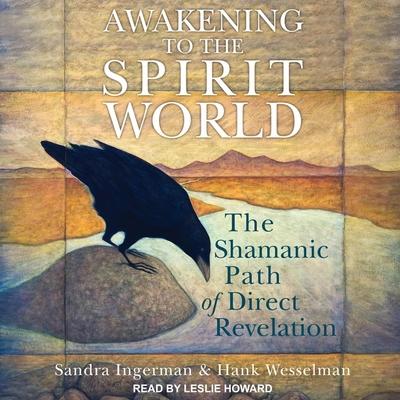 Audio Awakening to the Spirit World Lib/E: The Shamanic Path of Direct Revelation Hank Wesselman