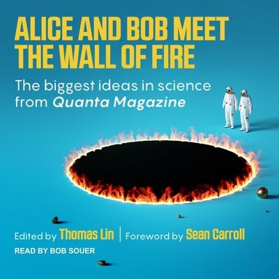 Audio Alice and Bob Meet the Wall of Fire Lib/E: The Biggest Ideas in Science from Quanta Thomas Lin