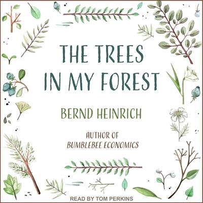 Audio The Trees in My Forest Lib/E Tom Perkins