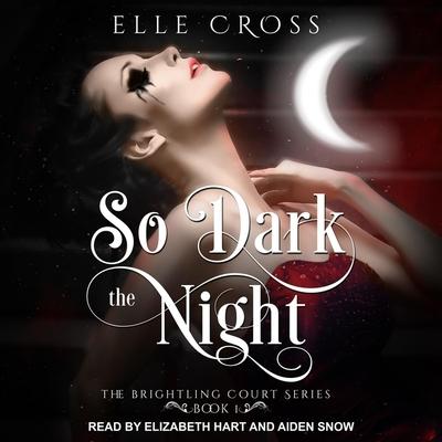 Audio So Dark the Night Lib/E Elizabeth Hart