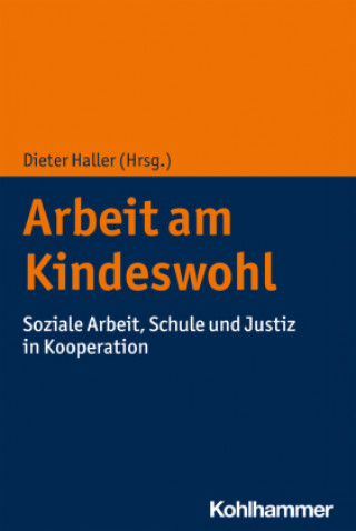Buch Arbeit am Kindeswohl Dieter Haller