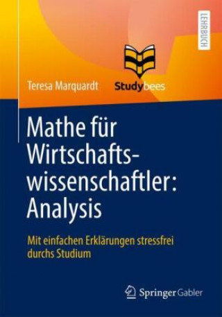 Carte Mathe Fur Wirtschaftswissenschaftler: Analysis Studybees GmbH