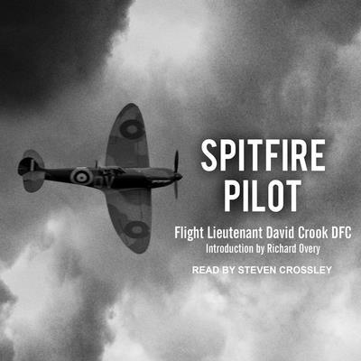 Digital Spitfire Pilot Richard Overy