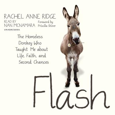 Audio Flash: The Homeless Donkey Who Taught Me about Life, Faith, and Second Chances Priscilla Shirer