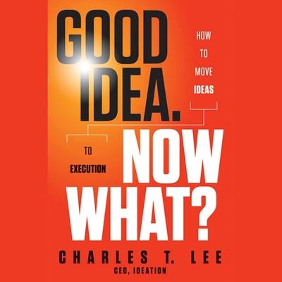 Digital Good Idea. Now What?: How to Move Ideas to Execution Rodney Gardiner