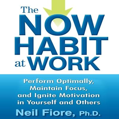Hanganyagok The Now Habit at Work Lib/E: Perform Optimally, Maintain Focus, and Ignite Motivation in Yourself and Others Erik Synnestvedt