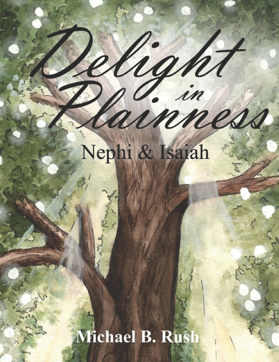 Buch Delight in Plainness Rush Michael B Rush