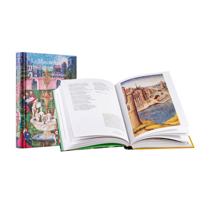 Book Moyen Age flamboyant collegium