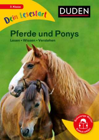 Könyv Dein Lesestart - Pferde und Ponys Maria Mähler