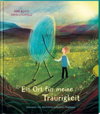 Buch Ein Ort für meine Traurigkeit David Litchfield