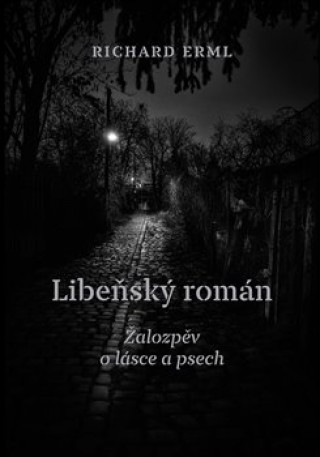 Könyv Libeňský román Richard Erml