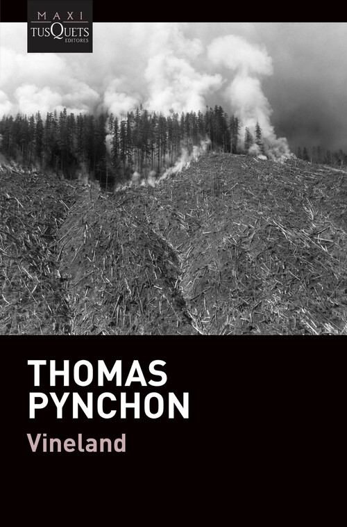 Könyv Vineland THOMAS PYNCHON
