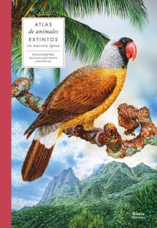 Könyv Atlas de animales extintos en nuestra época RADEK MALY