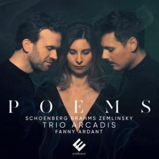 Zvok Poems (Wien Um 1900) 