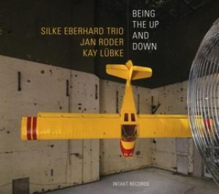Audio Beeing The Up And Down Silke Eberhard Trio