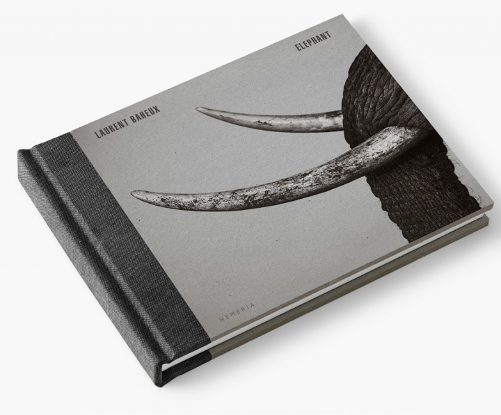Buch Elephant Laurent BAHEUX