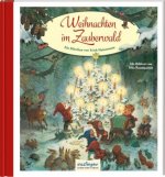 Könyv Weihnachten im Zauberwald Fritz Baumgarten