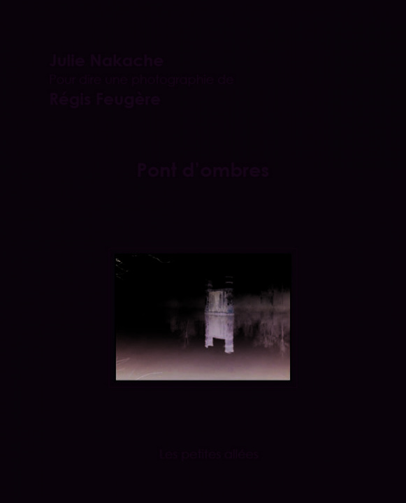 Buch Pont d'ombres Nakache