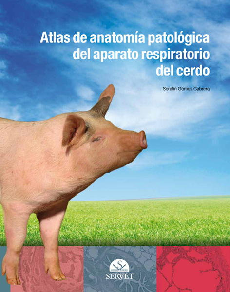 Könyv Atlas de anatomía patológica del aparato respiratorio del cerdo SERAFIN GOMEZ CABRERA