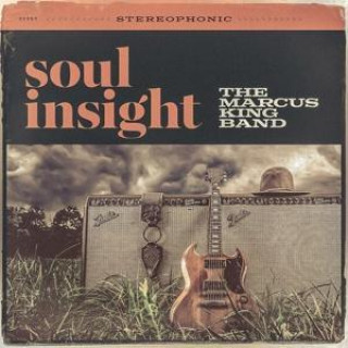 Audio Soul Insight 