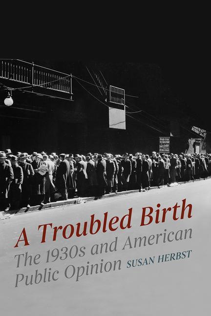 Buch Troubled Birth Susan Herbst
