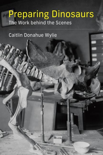 Kniha Preparing Dinosaurs Caitlin Donahue Wylie