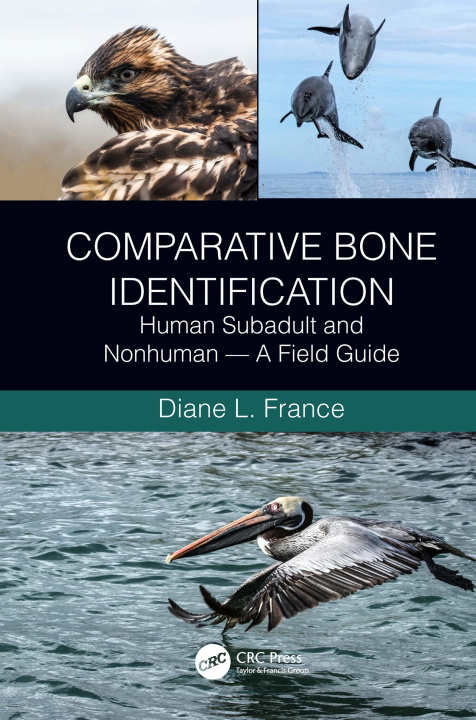 Kniha Comparative Bone Identification France