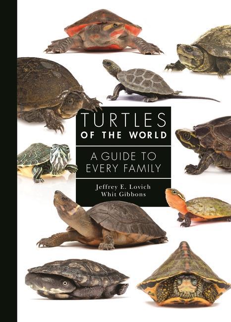 Książka Turtles of the World Jeffrey E. Lovich
