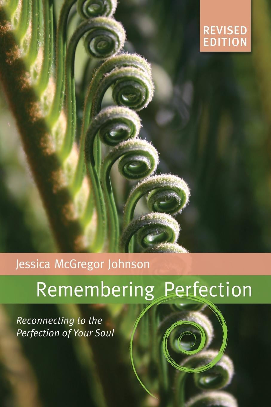 Boek Remembering Perfection Jessica McGregor Johnson