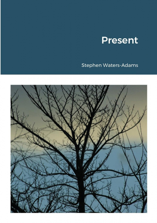 Knjiga Present STEPHE WATERS-ADAMS