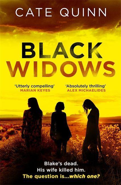 Kniha Black Widows Cate Quinn