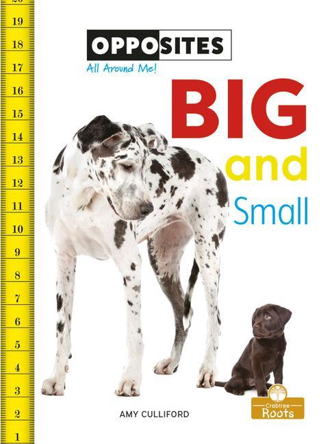 Knjiga Big and Small 
